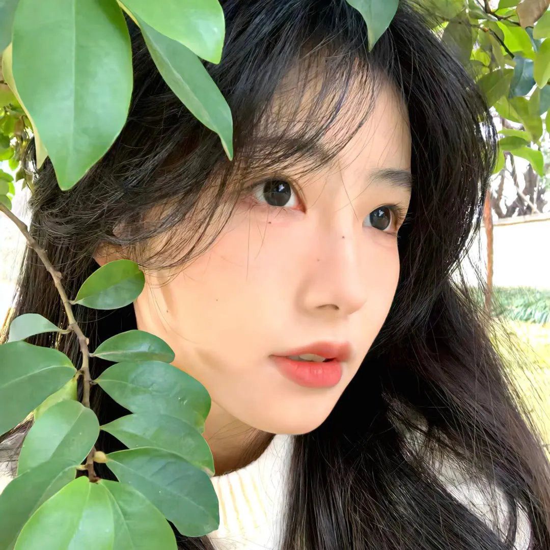 异种怪兽